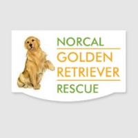 Norcal Golden Retriever Rescue